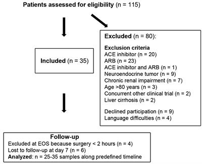 Intra- and postoperative relative angiotensin II deficiency in patients undergoing elective major abdominal surgery